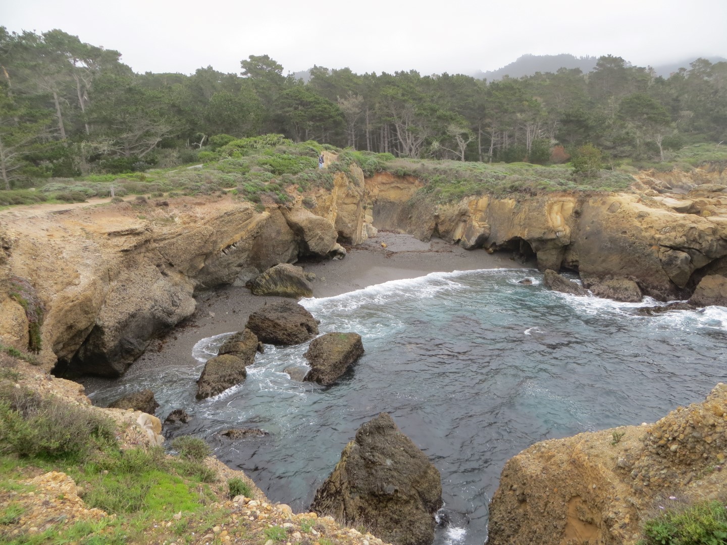 Point Lobos Snr Weston Beach Carmel Ca California Beaches