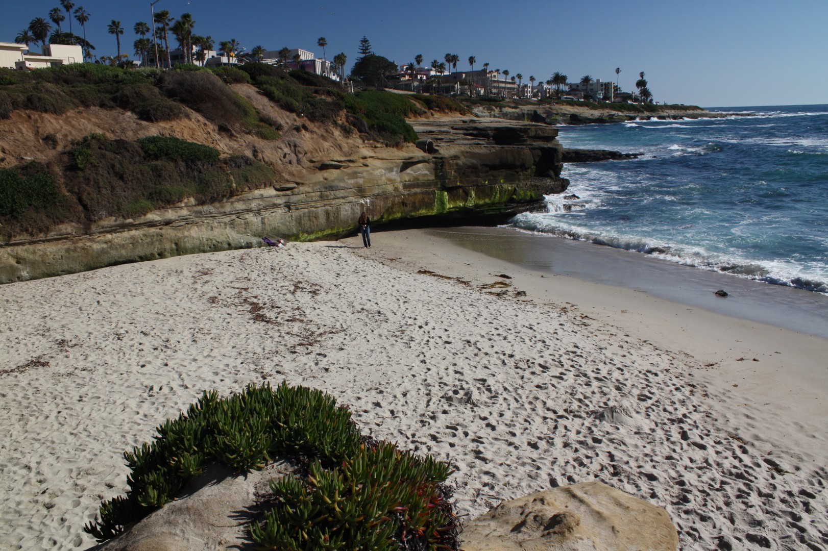 south-casa-beach-la-jolla-ca-california-beaches