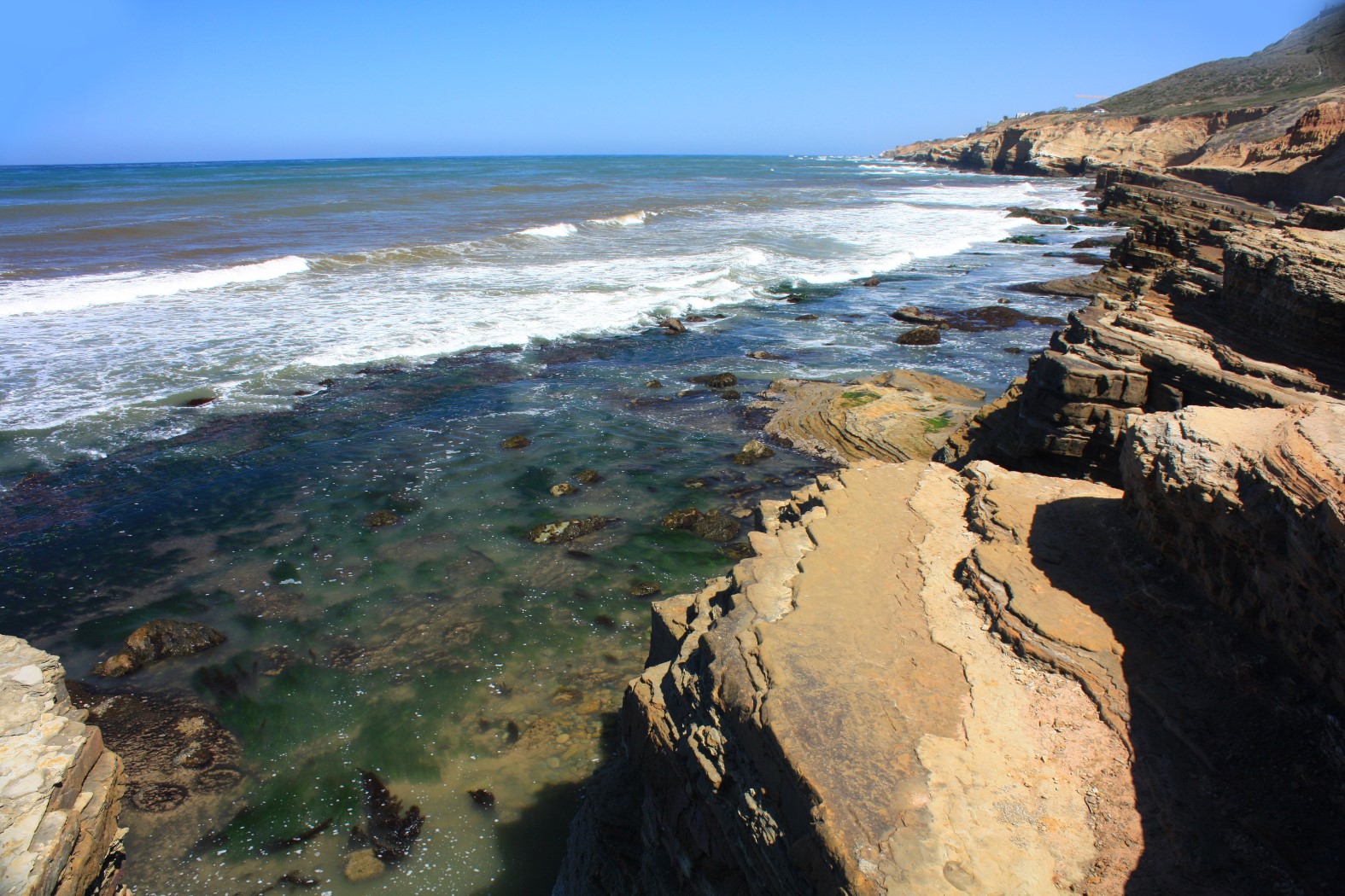 point-loma-tide-pools-san-diego-ca-california-beaches