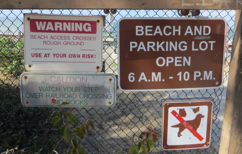 are dogs allowed at san clemente state beach