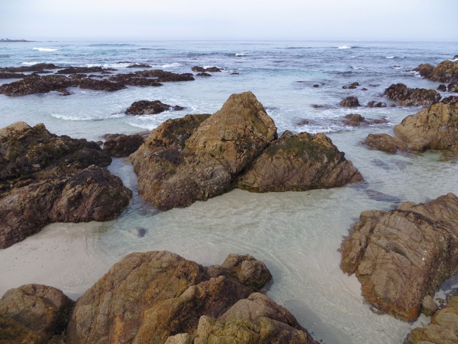 asilomar-state-beach-pacific-grove-ca-california-beaches