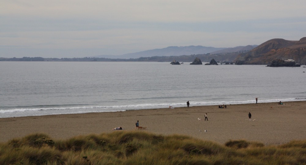 Dillon Beach Dillon Beach Ca California Beaches