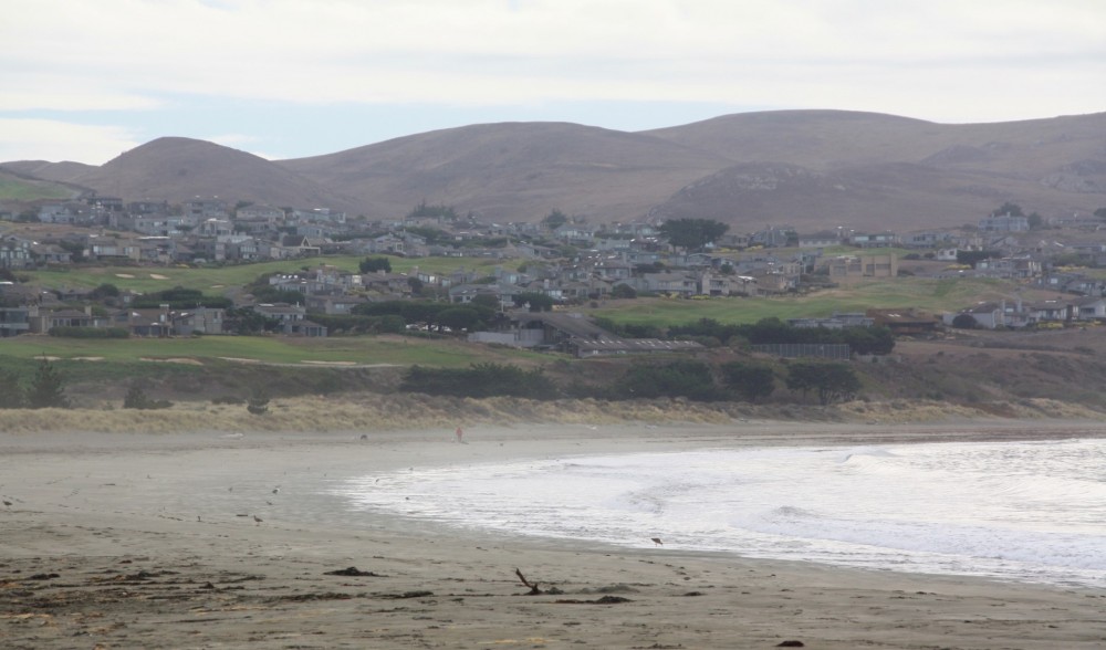 Doran Beach Bodega Bay Ca California Beaches