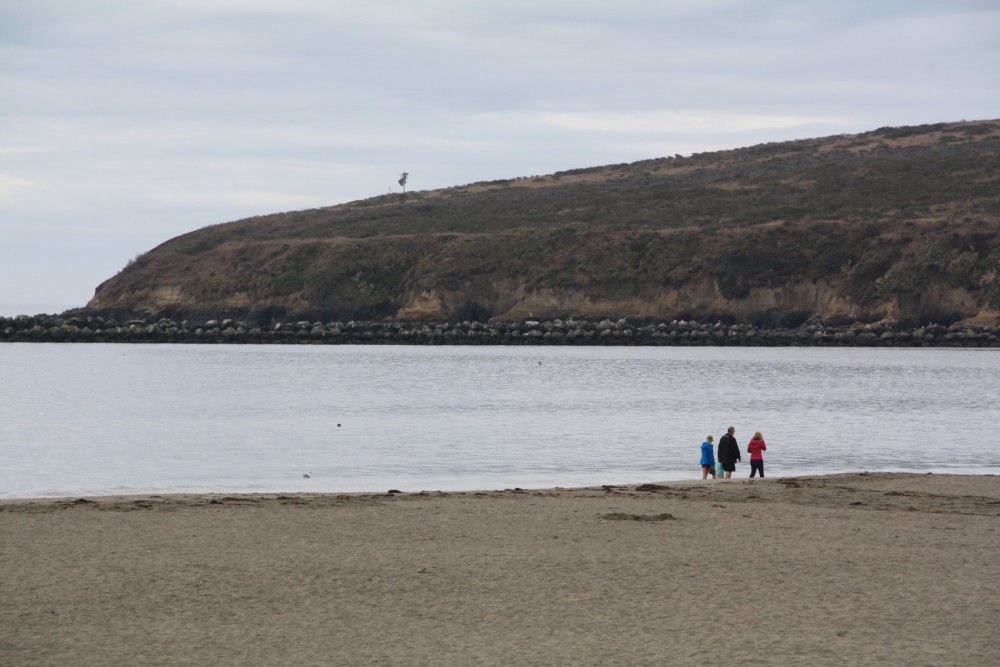 Doran Beach Bodega Bay Ca California Beaches