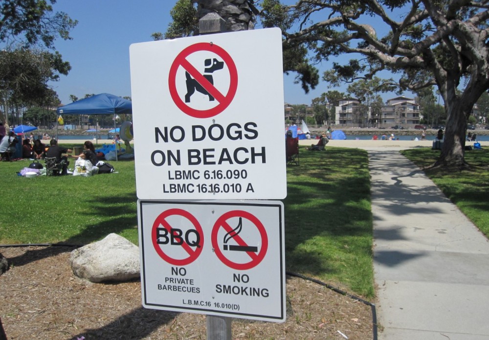 are dogs allowed at long beach