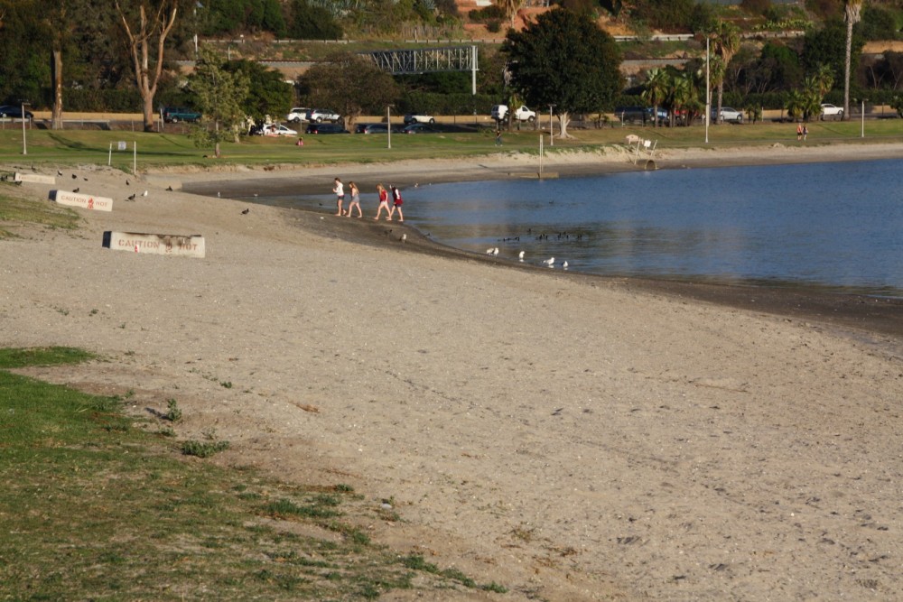 are dogs allowed at mission bay park