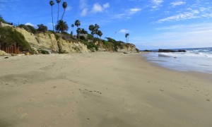 Beaches in Laguna Beach, CA - California Beaches