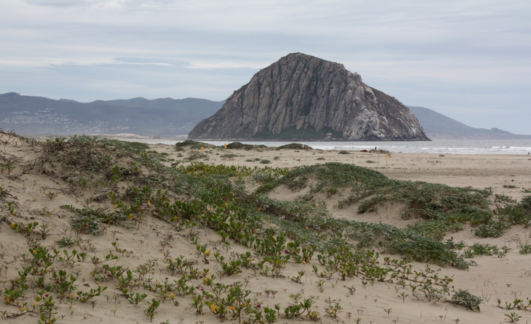 morro-strand-state-beach-morro-bay-ca-california-beaches