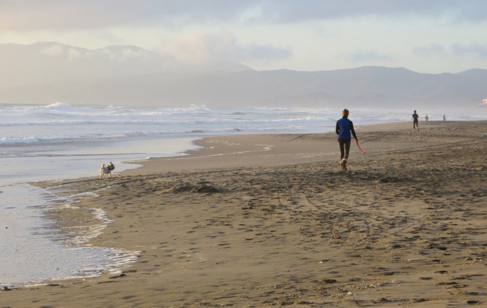 Ocean Beach San Francisco Ca California Beaches