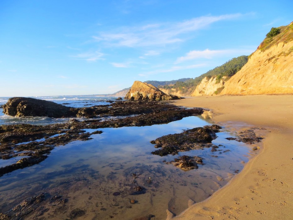 Greyhound Rock Coastal Access, Davenport, CA California Beaches