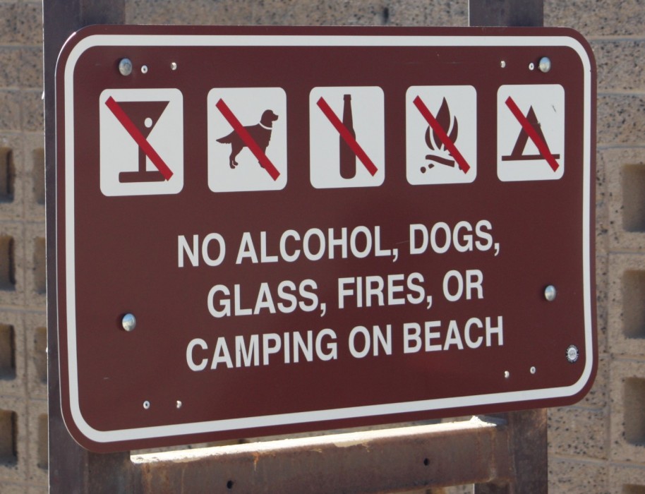 are dogs allowed at el matador state beach