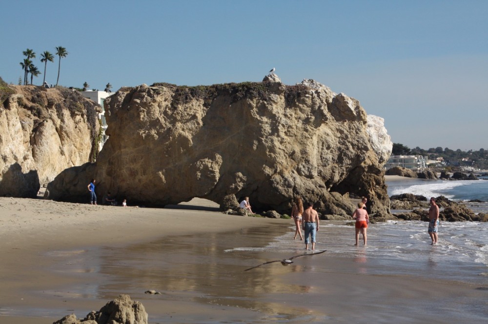 are dogs allowed at el matador state beach