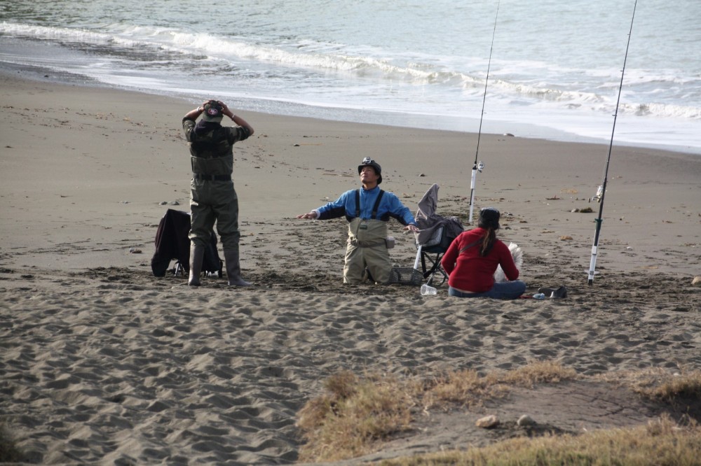 does rockaway beach allow dogs