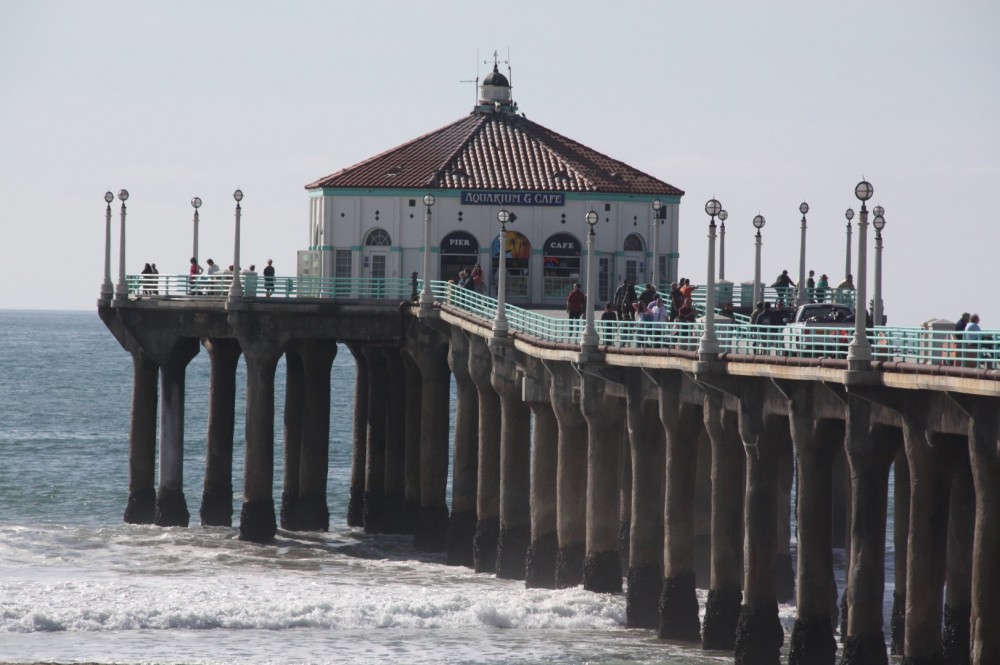 does manhattan beach allow dogs