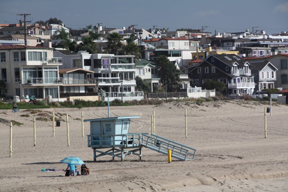 does manhattan beach allow dogs