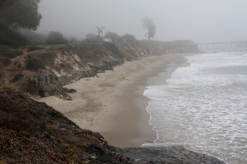 Tar Pits Beach, Carpinteria, CA - California Beaches