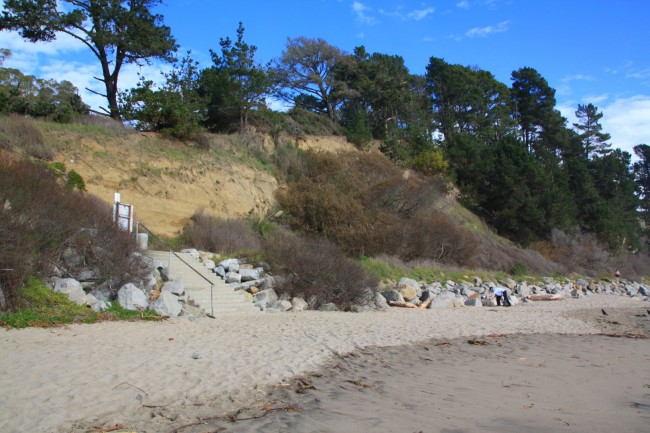 New Brighton State Beach In Capitola CA California Beaches