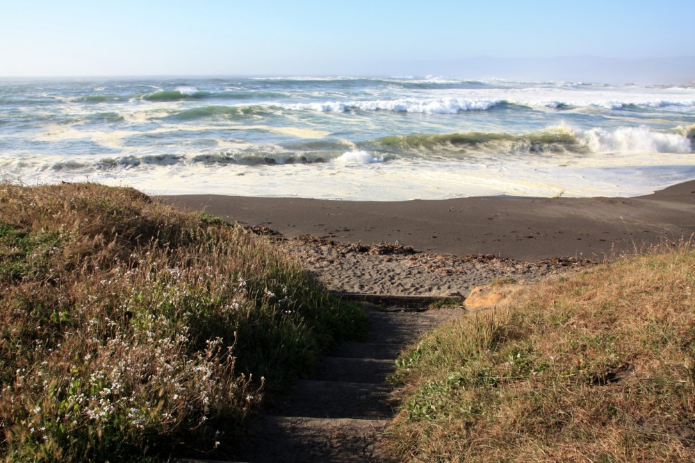 Laguna Point MacKerricher Bryce June2015 19 1000x667