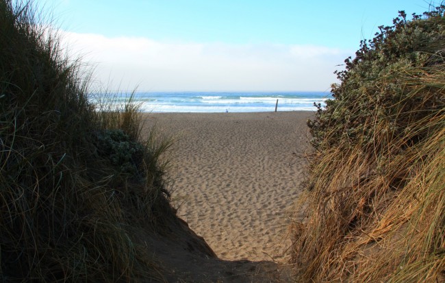 manchester-state-park-beach-in-manchester-ca-california-beaches