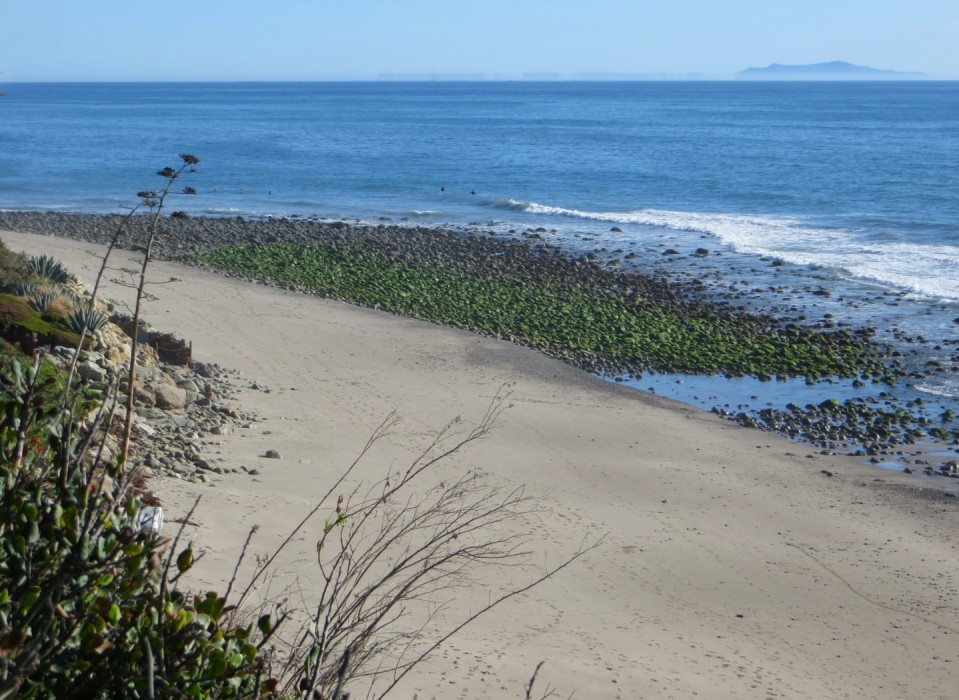 rincon-park-county-beach-carpinteria-ca-california-beaches