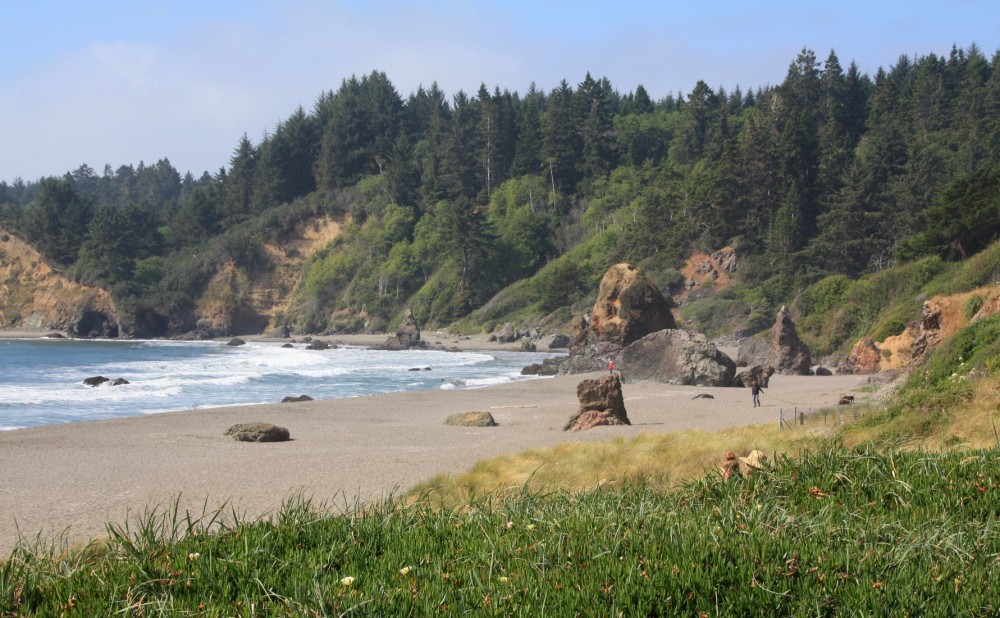 are dogs allowed at trinidad state beach