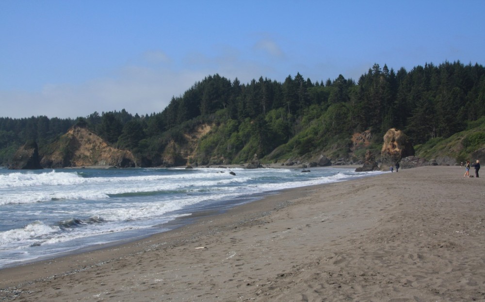 are dogs allowed at trinidad state beach