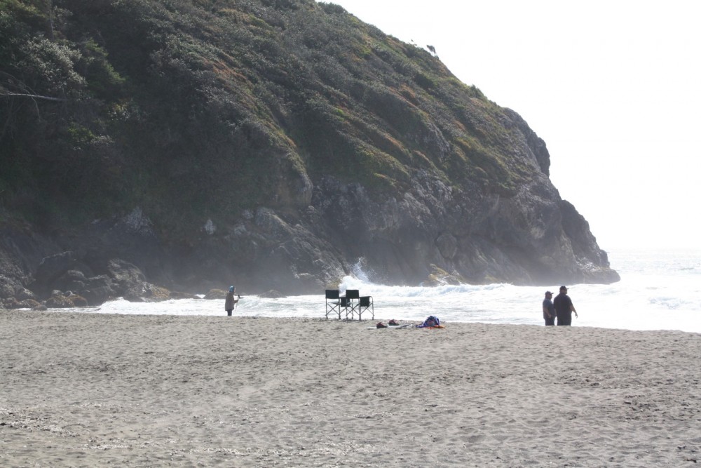 are dogs allowed at trinidad state beach