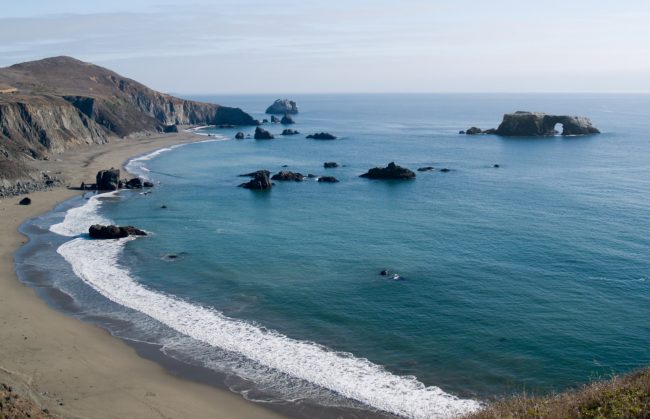 Discover Sonoma County's Marine Wildlife at Goat Rock Beach