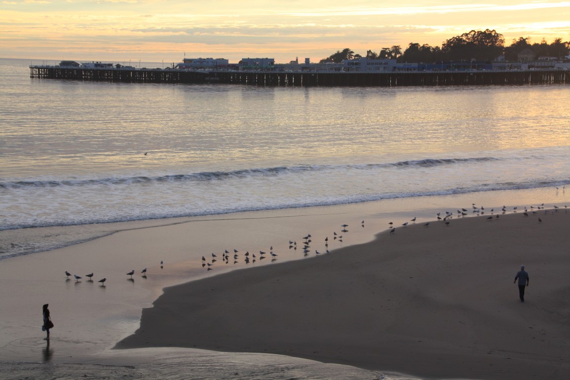 Discover the Wharves & Piers of Santa Cruz County! - Visit Santa Cruz County