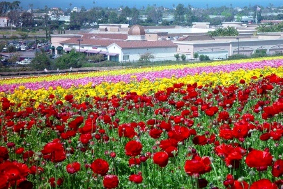 Shop at the Carlsbad Premium Outlets - Go Visit San Diego