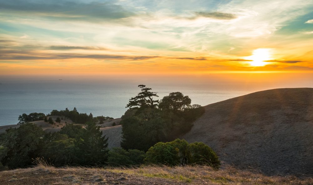 Mount Tam State Park Beaches Peaks More California Beaches