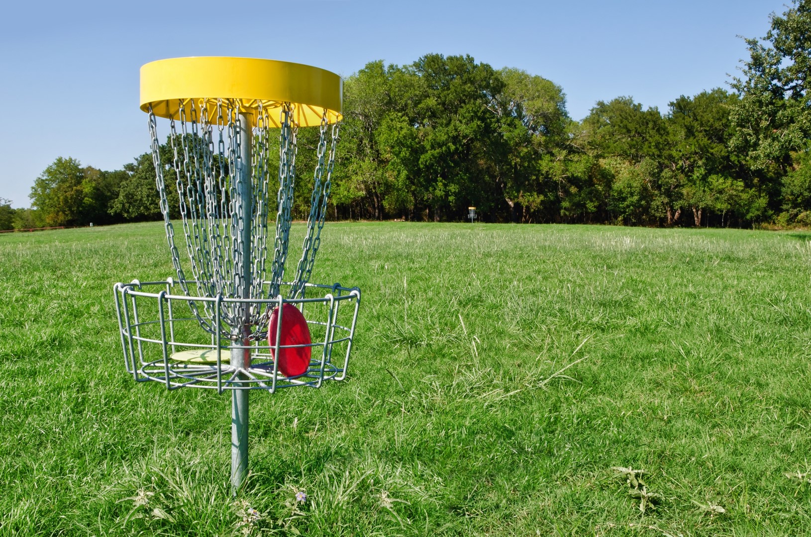 What Is Disc Golf Courses